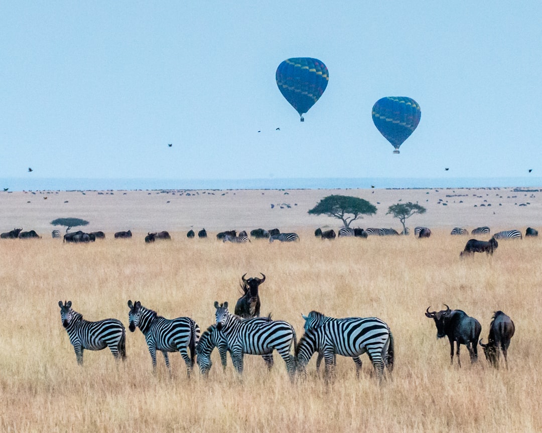 Serengeti