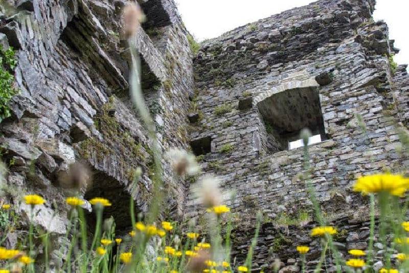 Le château de Carriganass est l'un des meilleurs châteaux d'Irlande 